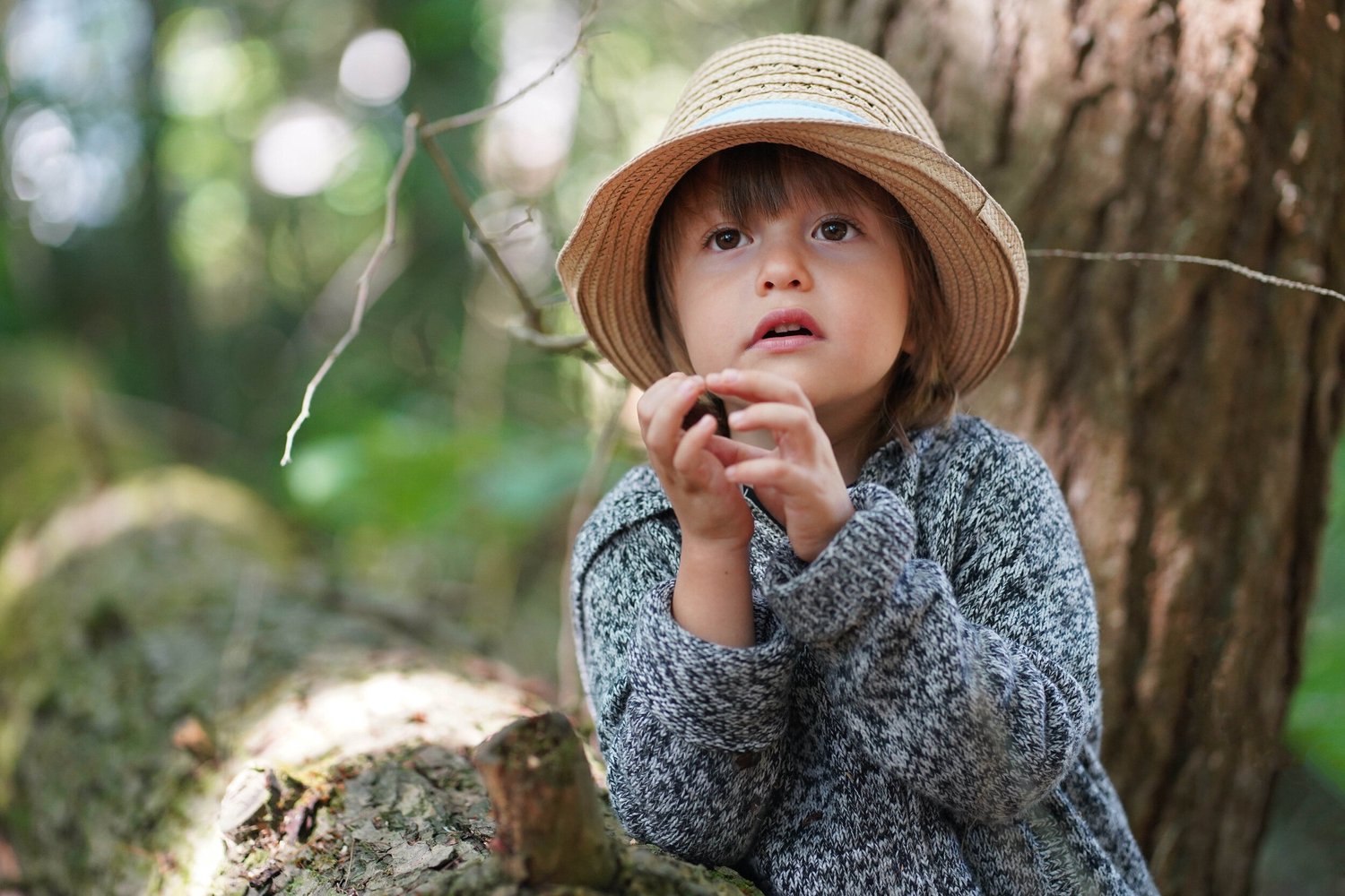 Leo in the forest