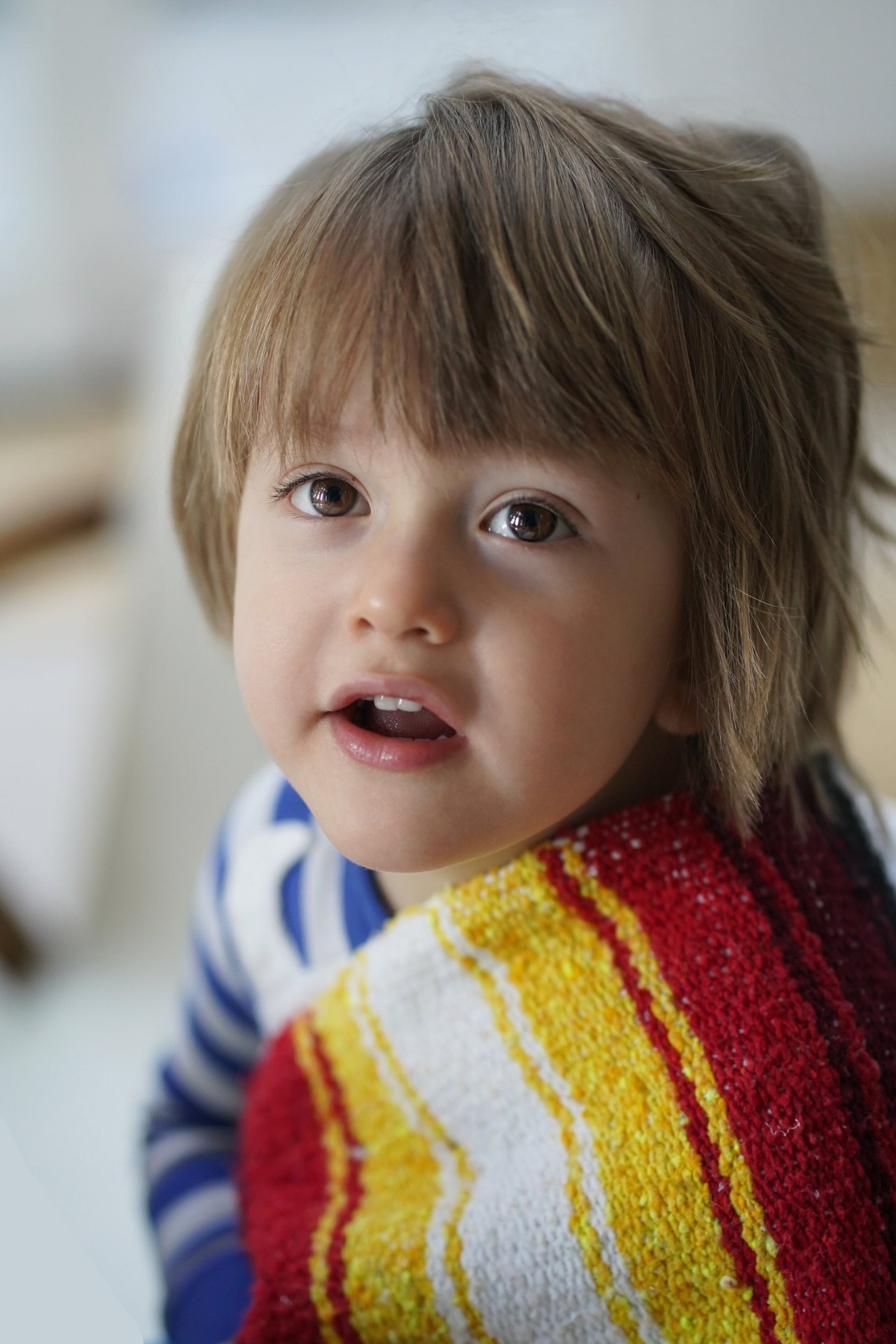 Leo & blanket